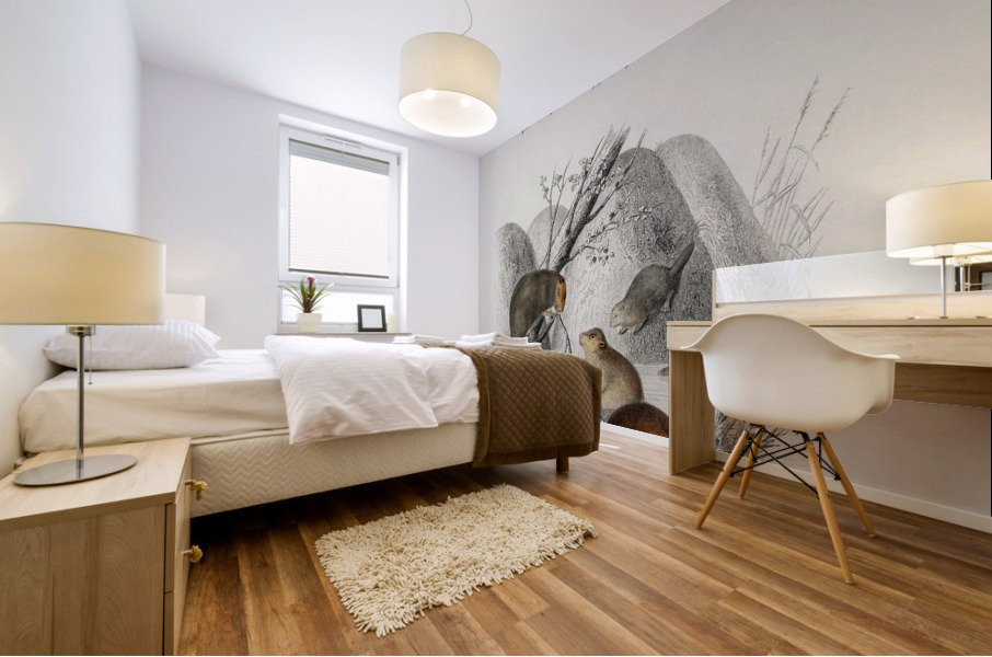 Beaver Castor and Jerboa Dipus Mural print