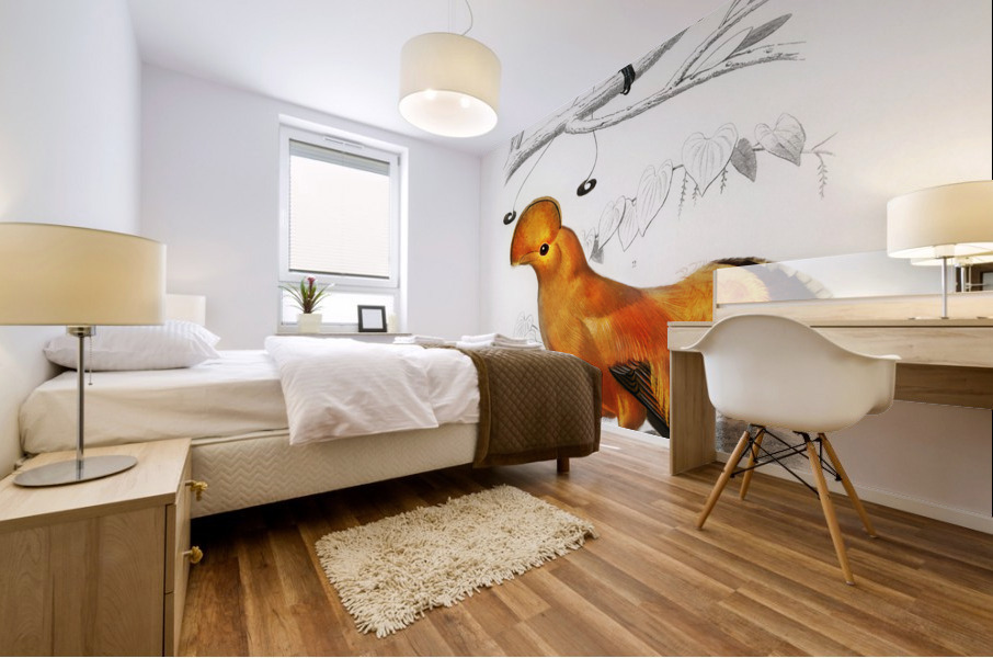 Different types of birds Mural print