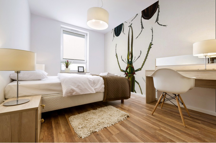 Different types of beetles Mural print
