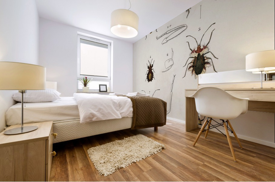 Different types of insects Mural print