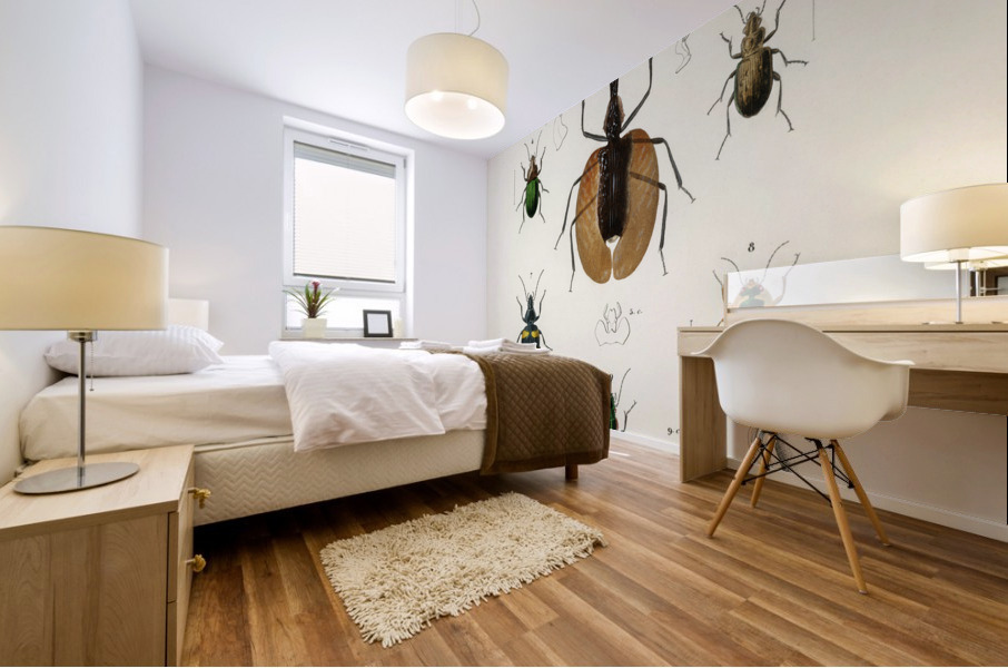 Different types of beetles Mural print