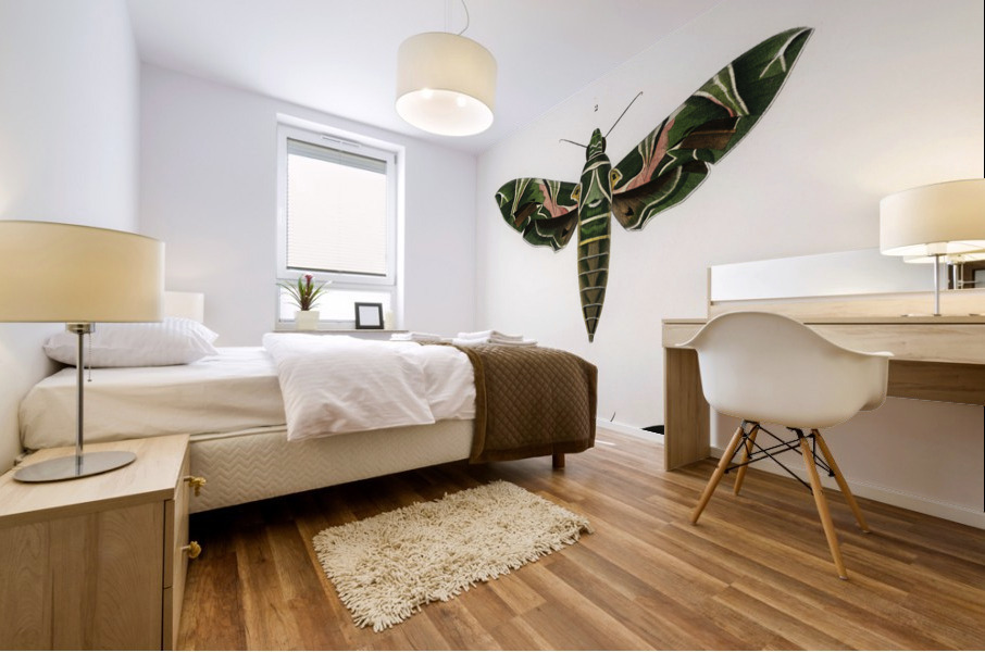 Different types of moths Mural print