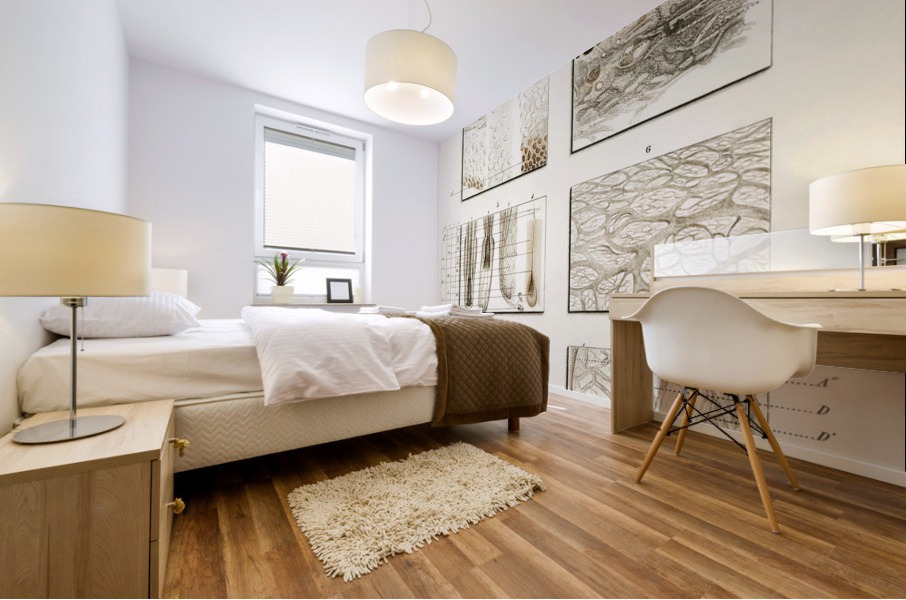 Collection of hand drawing of human skin structure Mural print