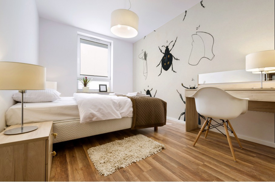 Different types of beetles Mural print