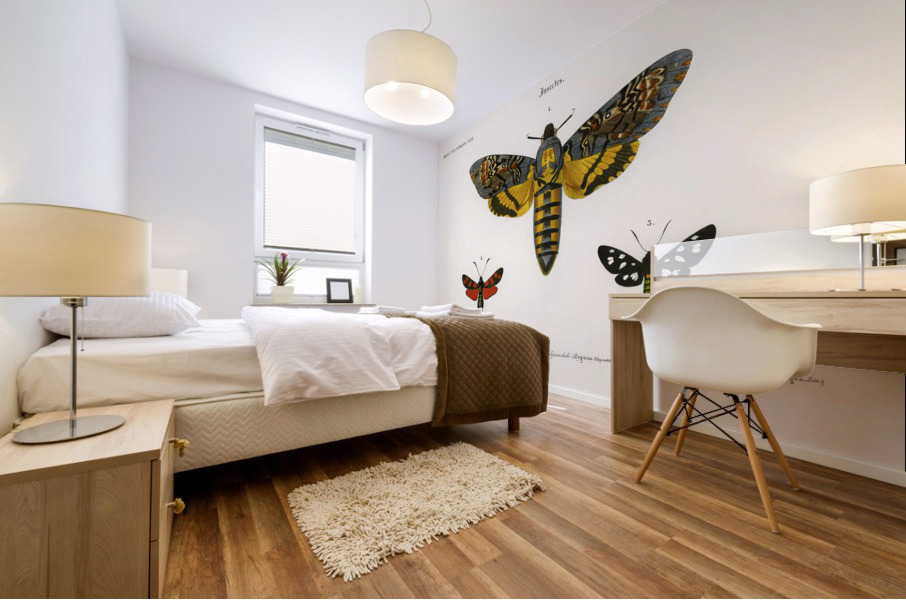 Collection of moths Mural print