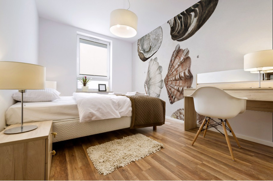 Different types of mollusks Mural print