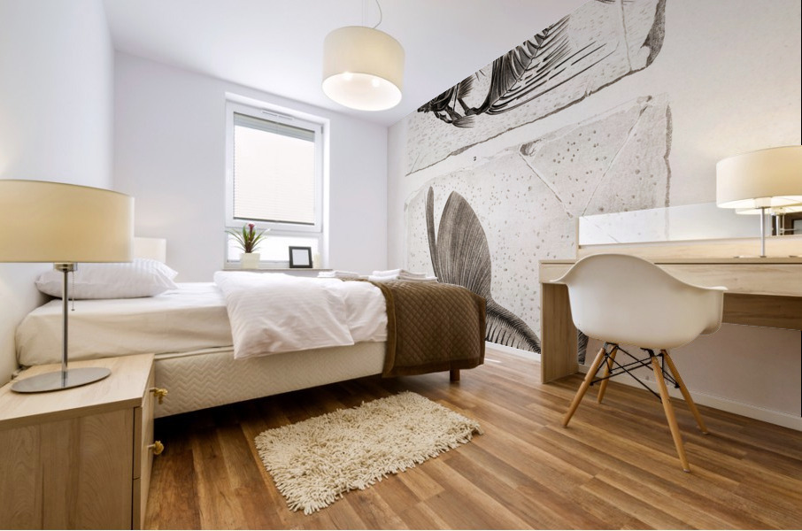 Ray-finned fish Acanthonemus and Semiophorus Mural print