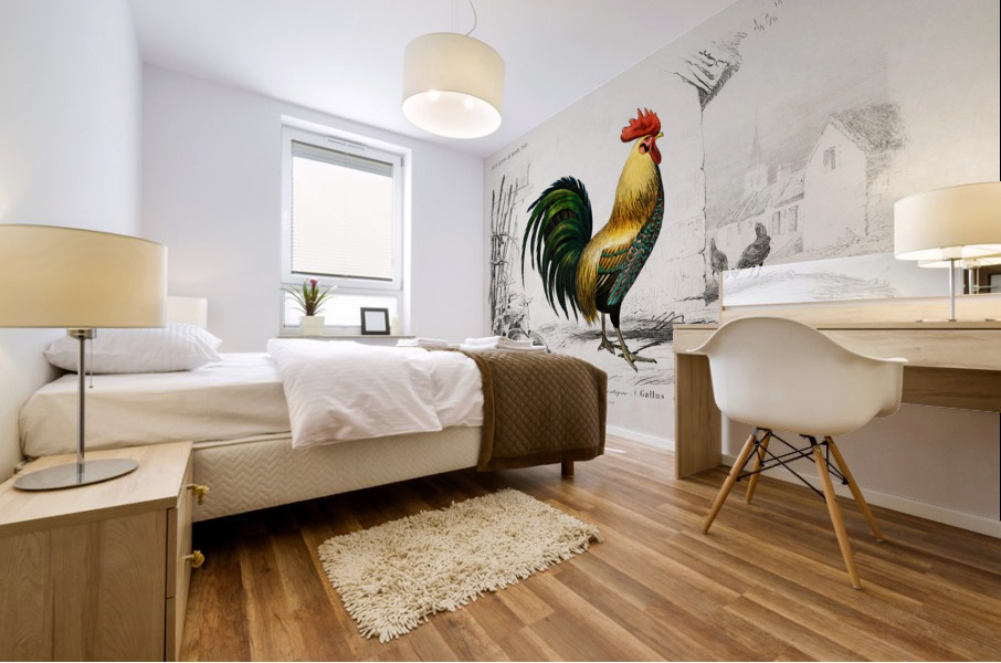 ictionnaire Universel D histoire Naturelle D Orbi 1694477606.4411 Mural print