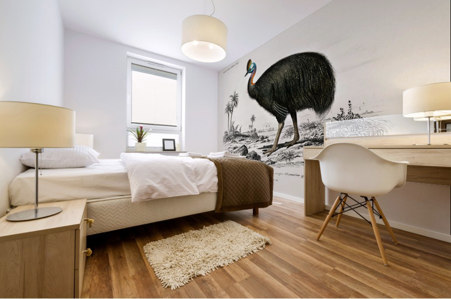Casoar à casque bird Mural print
