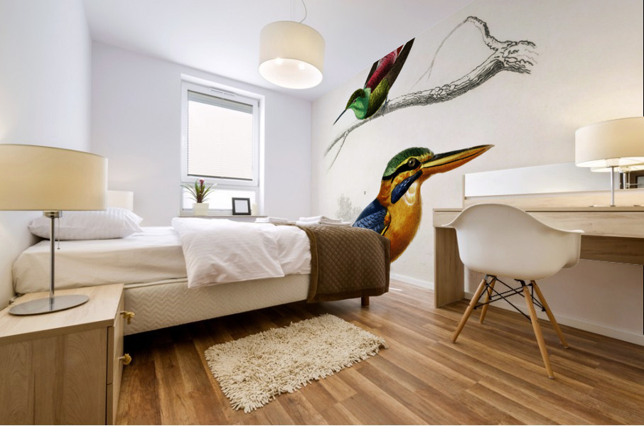 Different types of birds Mural print