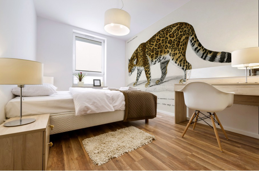 Jaguar Panthera Onca Mural print