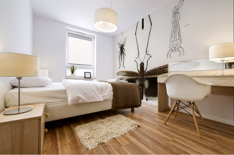 Different types of bugs Mural print