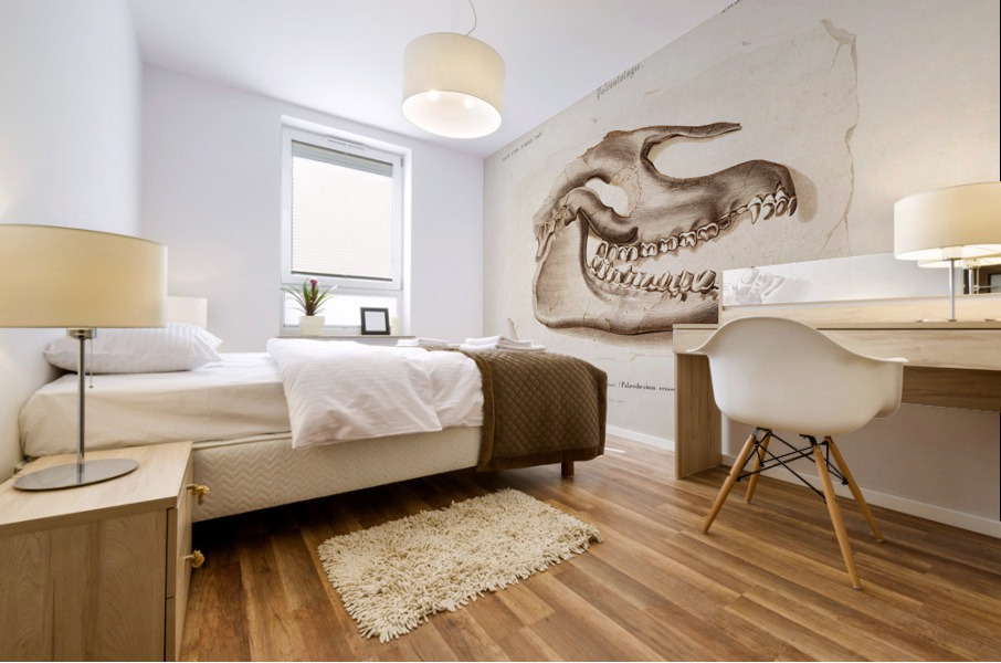 Odd-toed ungulate Palaeotherium Mural print