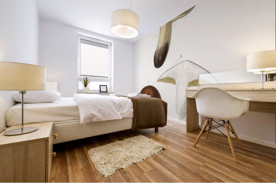 Mushroom Boletus circinans Mural print