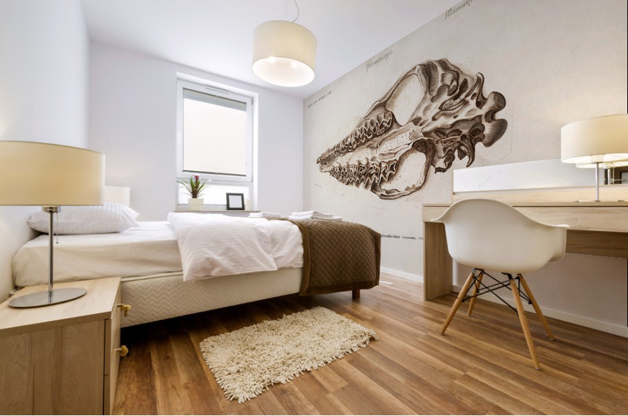 Odd-toed unlate Palaeotherium Mural print