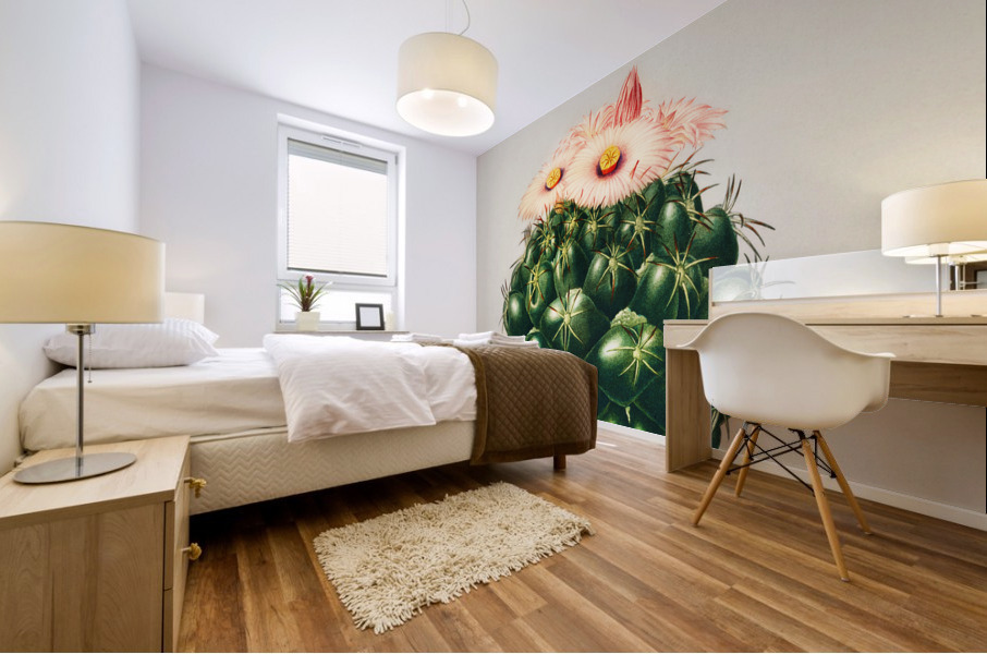 Starry Ball Mammillaria elephantidens Mural print