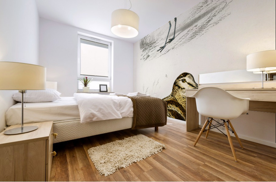 Different types of birds Mural print