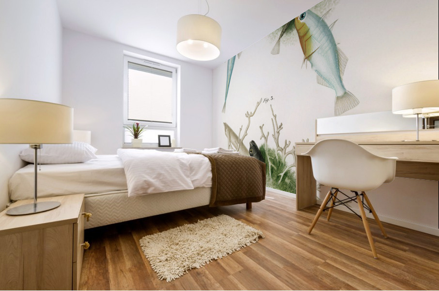 Gasterosteus Aculeatus Mural print