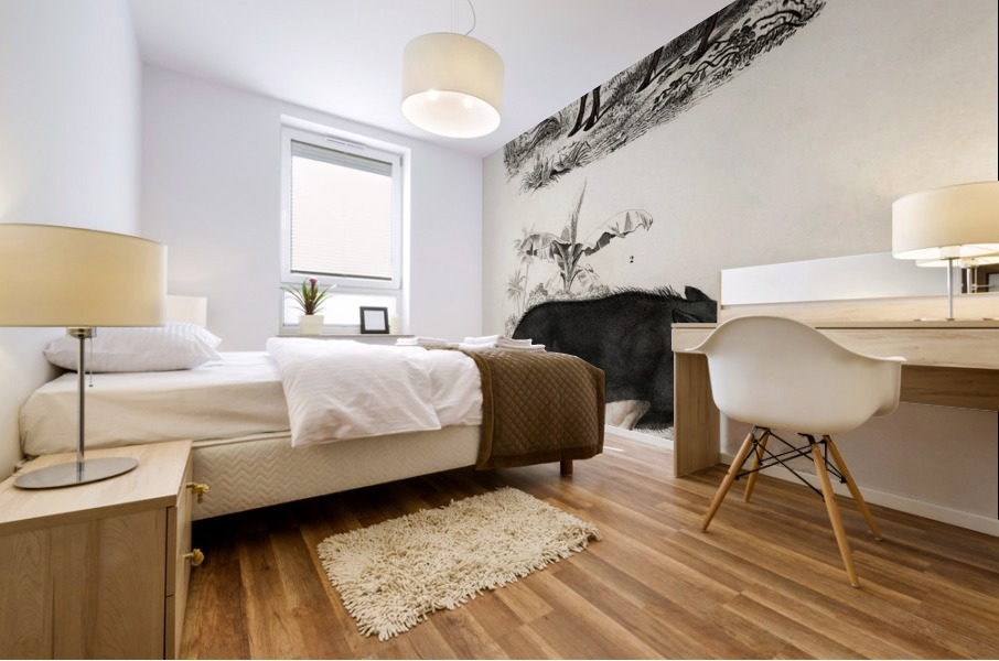 Pecari and Sus scropha Mural print