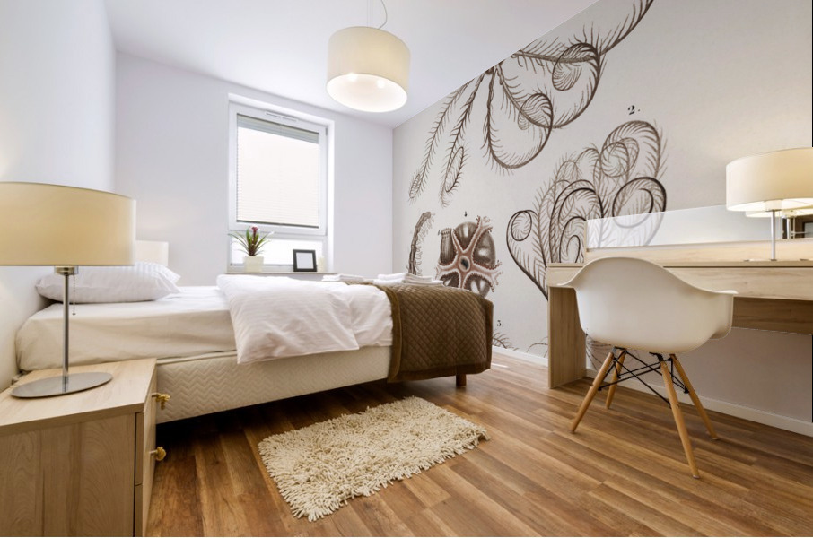 Comatula Mediterranea Mural print