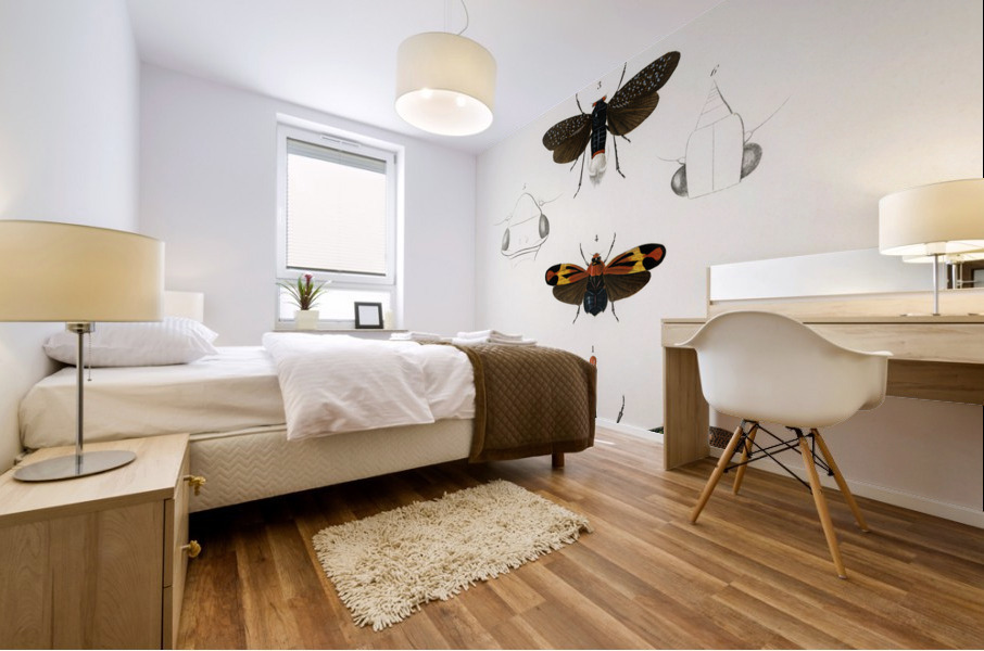 Collection of moths Impression murale