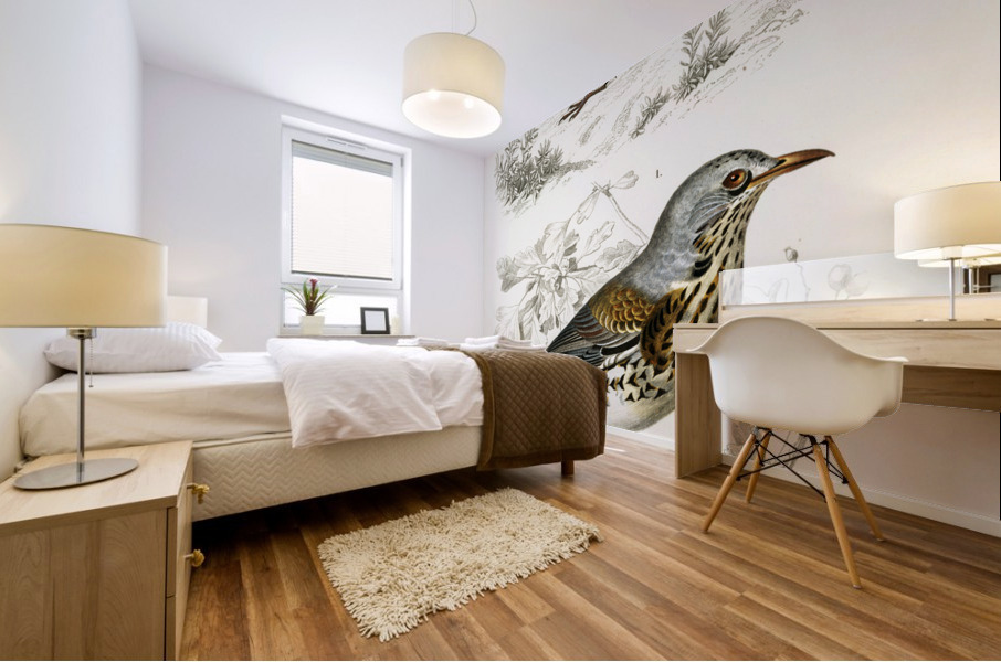 Different types of birds Mural print