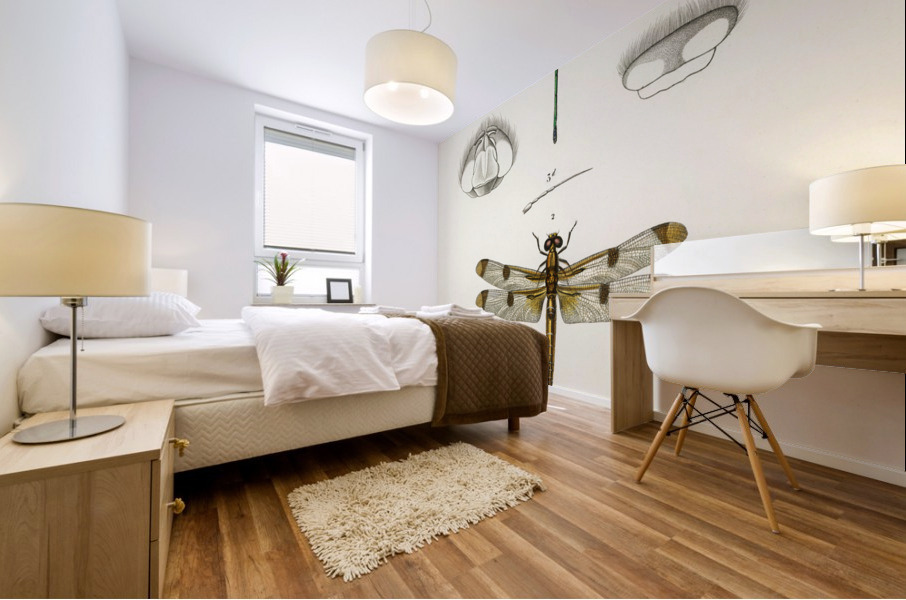 Different types of dragonflies Mural print