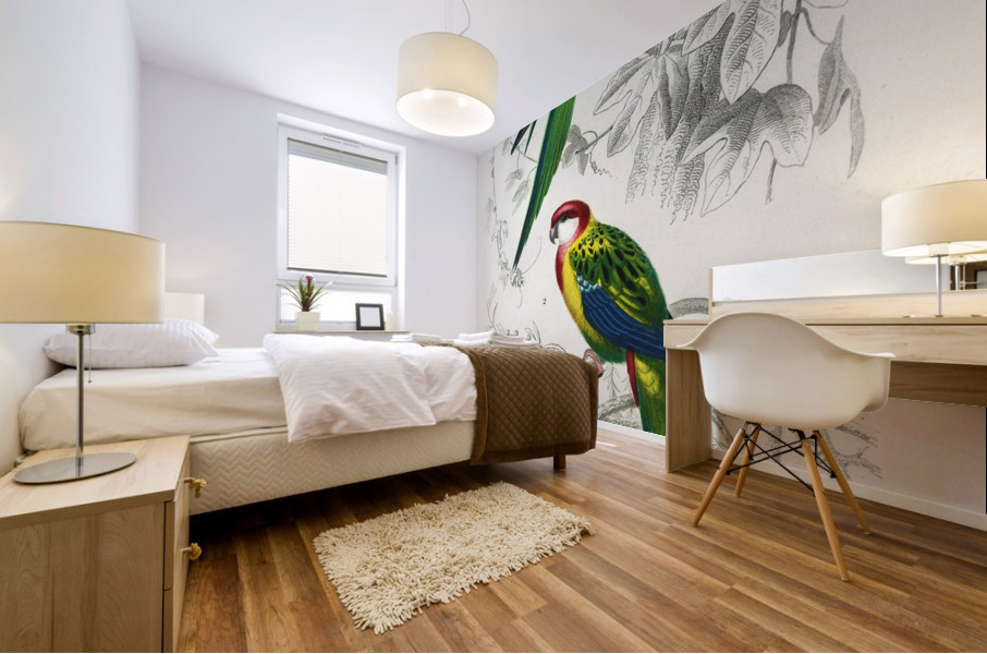 Different types of birds Mural print