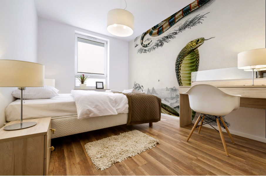 Coral Snake Elaps Corallinus and Egyptian Cobra Naja Hoje Mural print