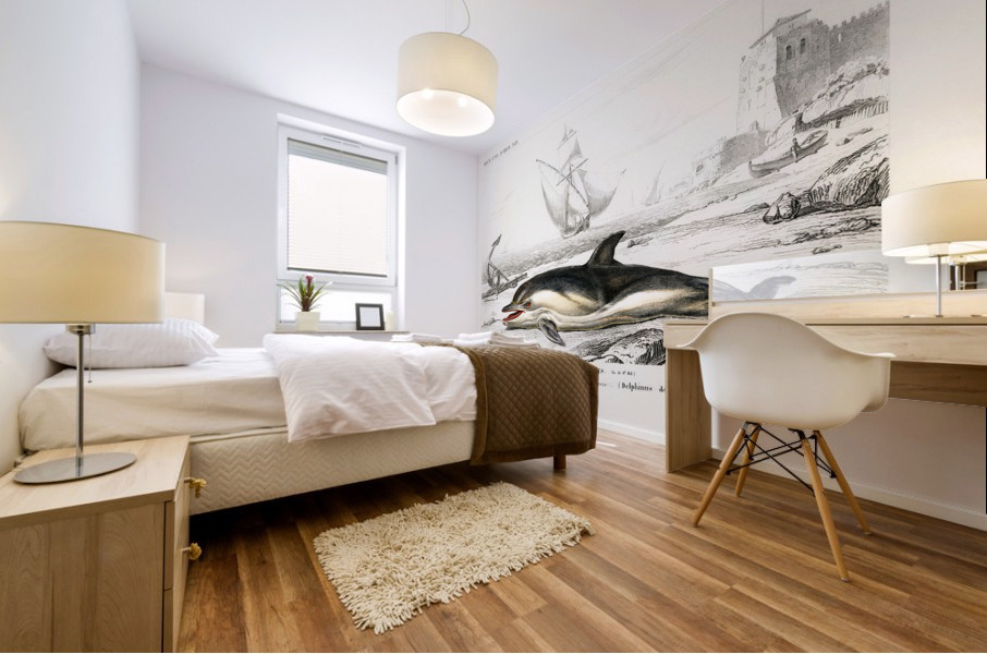 Delphinus delphis Mural print