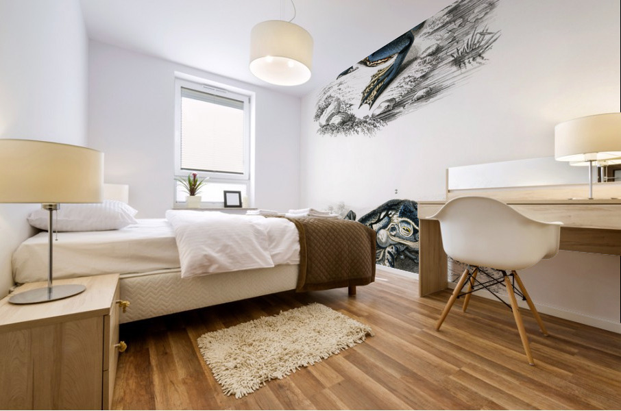 Shrinking frog Pseudis Merianae and Black-spotted casque-headed tree Trachycephalus geographieus Mural print