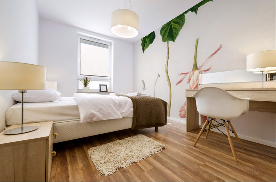 Astrapoea Wallichii Mural print