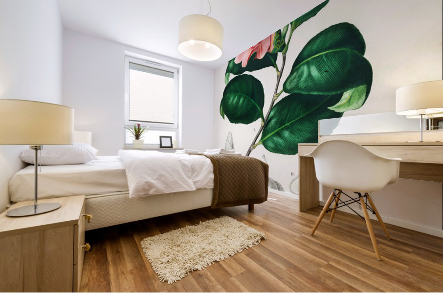 Eastern dobsonfly Corydalus cornutus Mural print