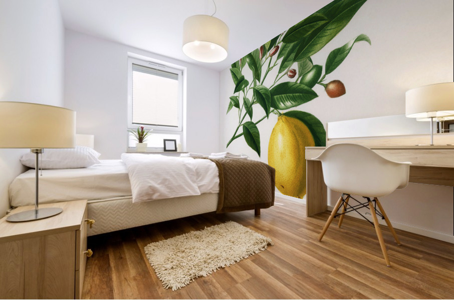 Lemon Citrus Limonium Mural print