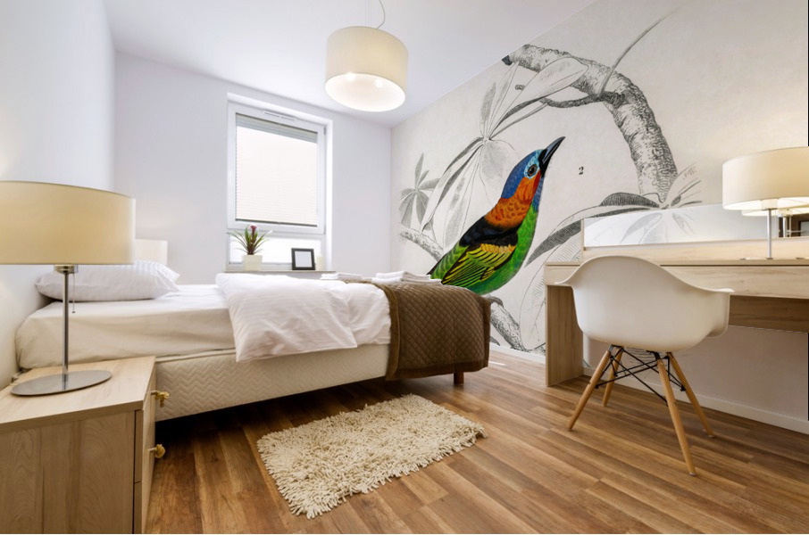 Different types of birds Mural print
