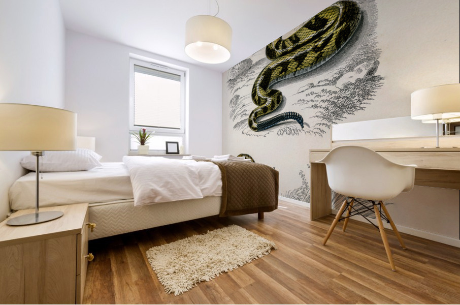 Rattlesnake Crotale and Saharan horned Viper Cerastes Mural print