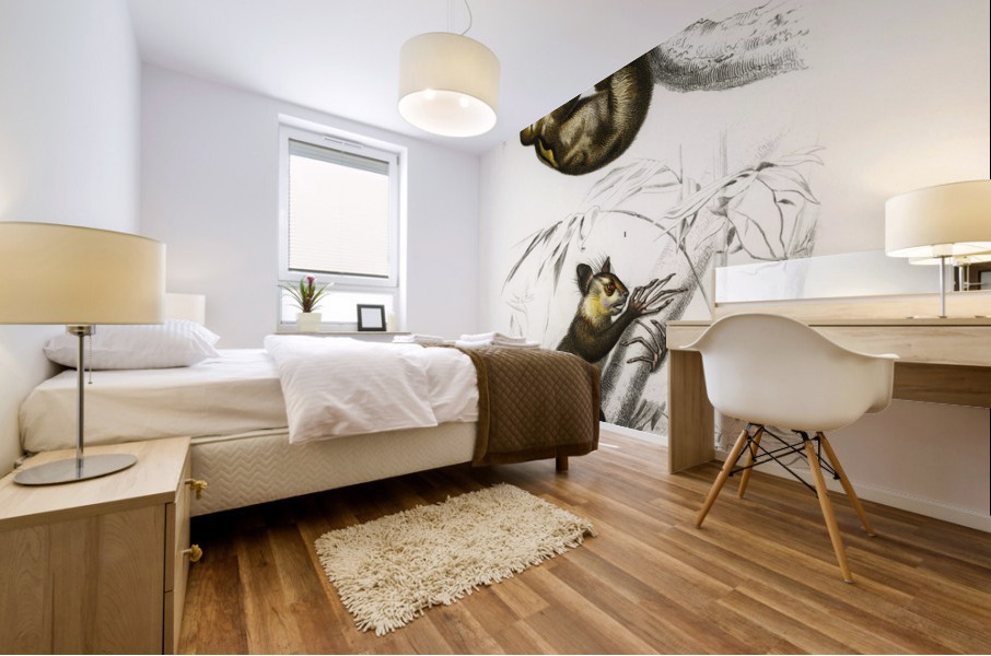 Three-toed Sloth Bradypus ustus and Aye-aye Cheiromys madagascariensis Mural print