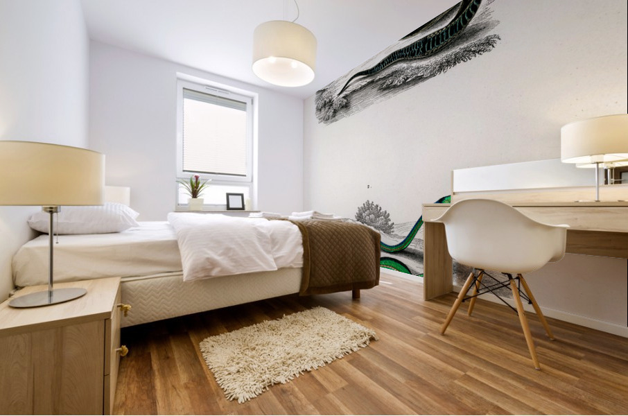 Grass Snake and the green vine snake Mural print