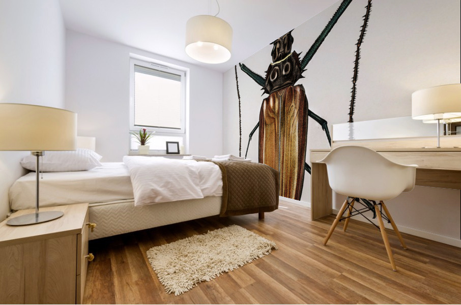 Enoplocerus Armillatus Mural print