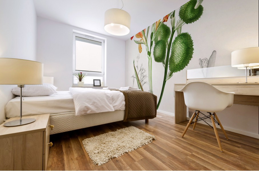 Anna speciosa Mural print