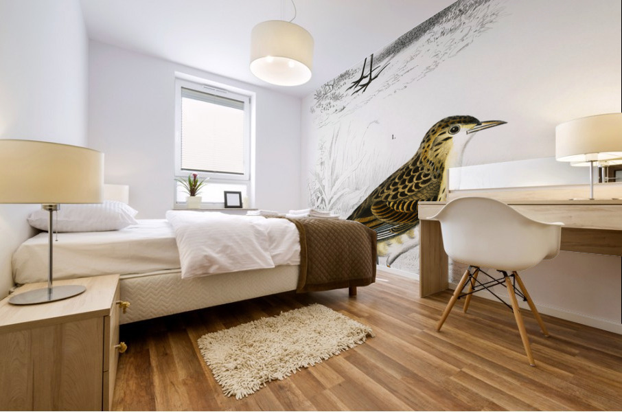 Different types of birds Mural print