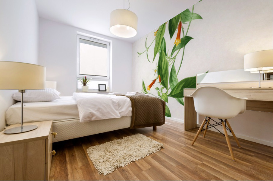 Strobilanthes sabiniana Mural print