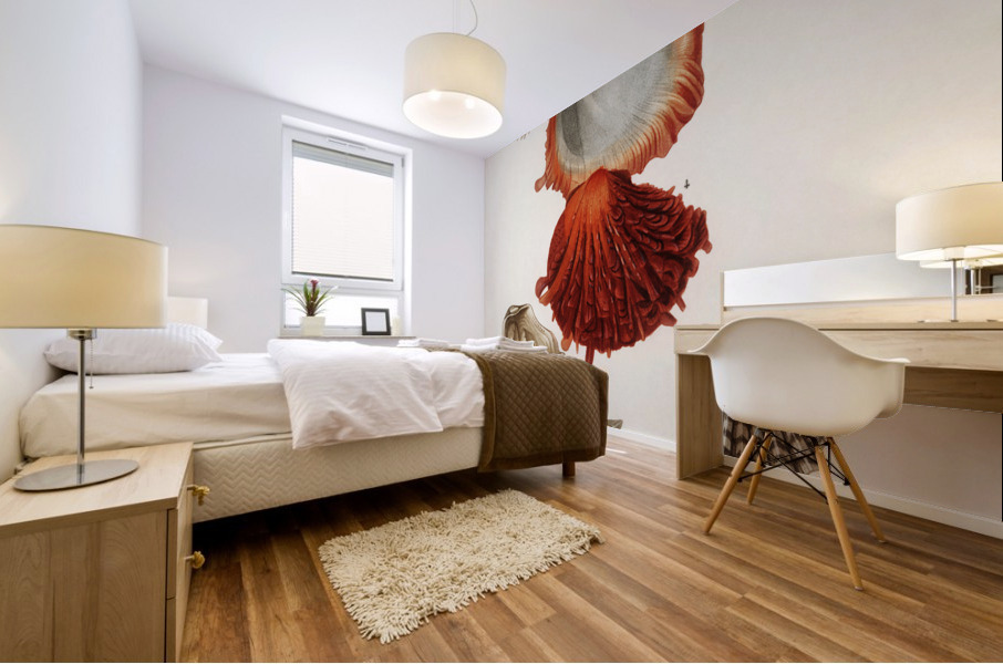 Different types of mollusks Mural print