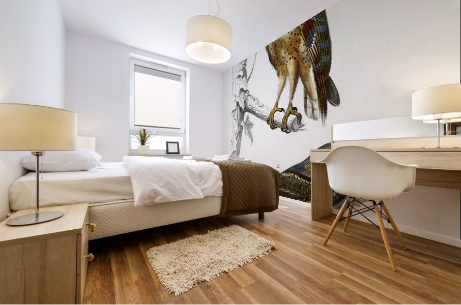 Different types of birds Mural print