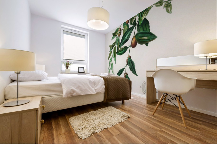 Jujube red date Ziziphus vulgaris Mural print