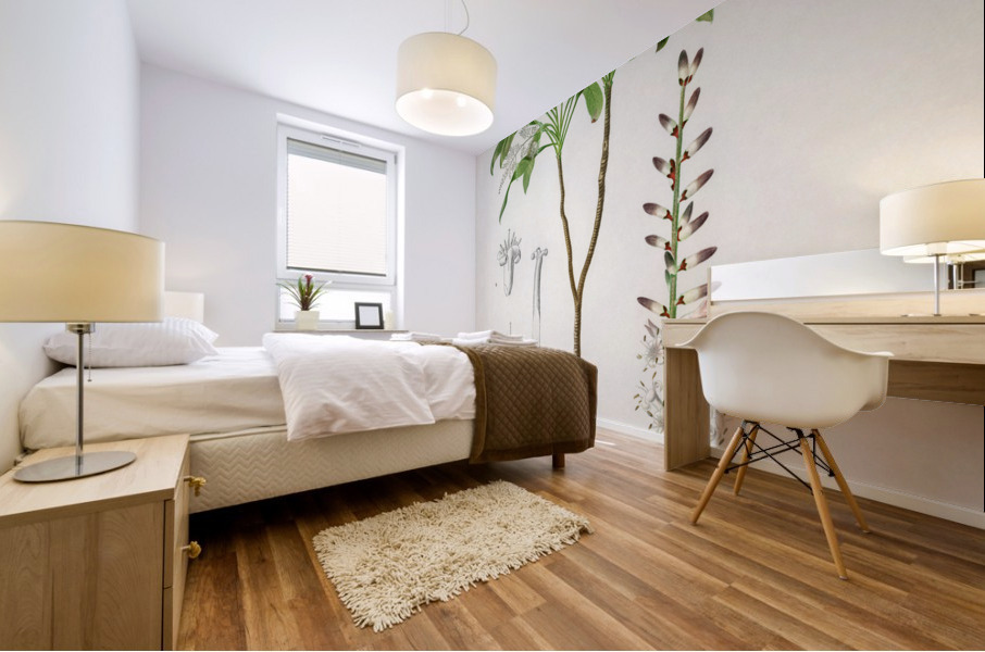 Dracaena brasiliensis Mural print