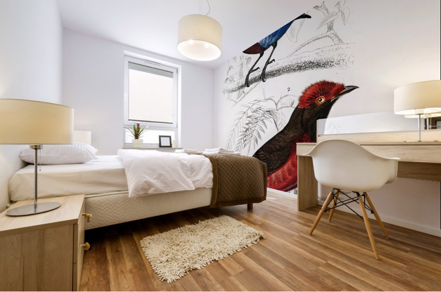 Different types of birds Mural print