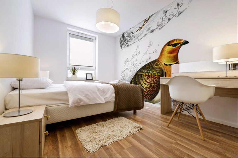 Different types of birds Mural print