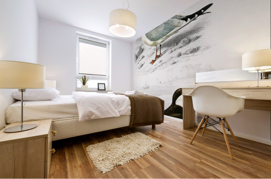 Different types of birds Mural print