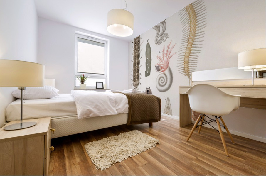 Different types of marine life Mural print